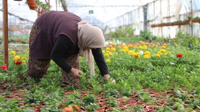 Kadın emeğiyle çiçekte 23 milyon lira tasarruf sağladılar