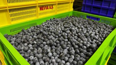 Küçük bir kasabadan büyük bir pazara