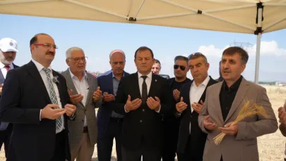 Atatürk Üniversitesi'nde buğday hasadı vakti