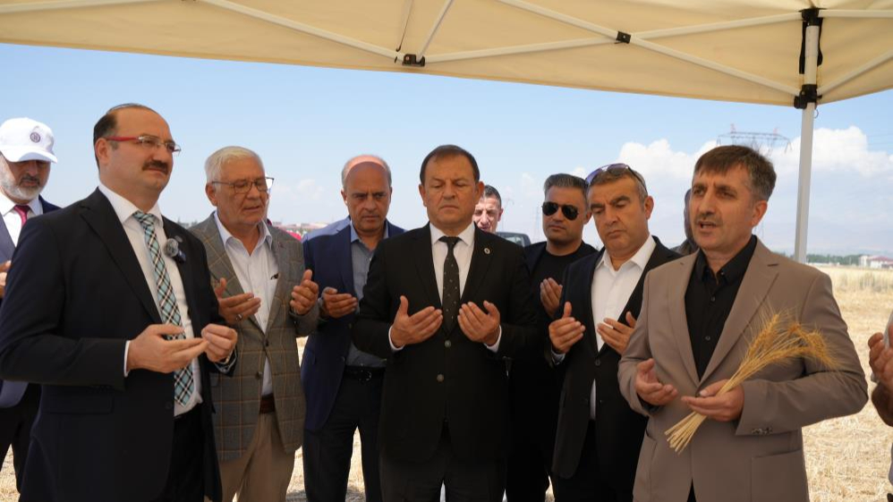 Atatürk Üniversitesi'nde buğday hasadı vakti