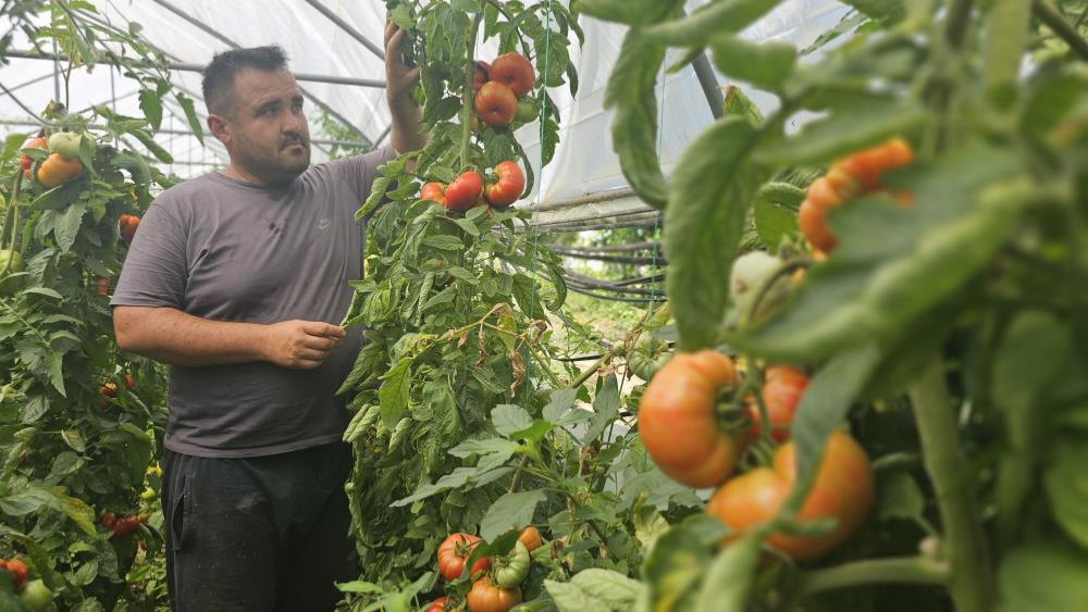 Baba mesleğini bıraktı, 25 yıldır toprağa emek veriyor