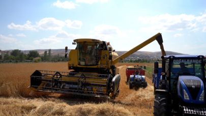 Sivas Cumhuriyet Üniversitesi'nde hasat başladı