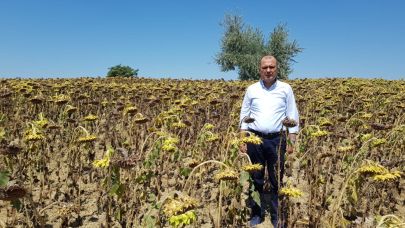 Çiftçi borçlarının ertelenmesi için yasa teklifi sunuldu