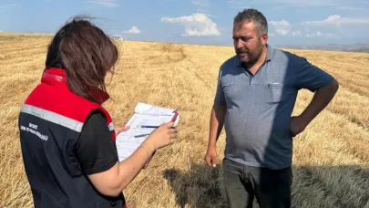 Aydıntepe’de hasat sezonu başladı