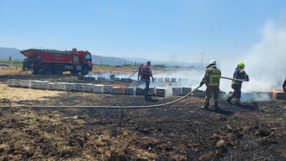 Burhaniye’deki yangında 165 arı kovanı yandı
