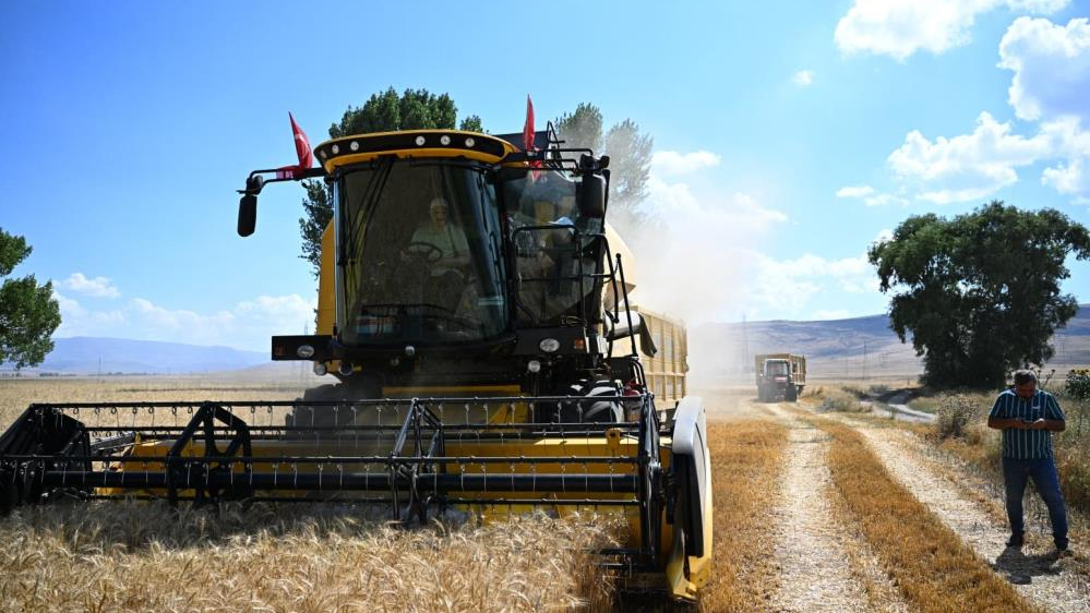 Tarım lisesinde buğday hasadını vali ve öğrenciler yaptı