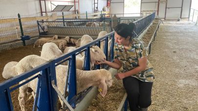 Veteriner genç kadın kendi koyunculuk işletmesini kurdu