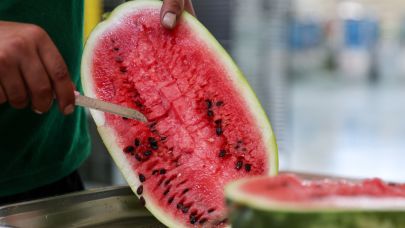 9 ilden toplanan ata tohumlarından Gen Bankası oluşturuldu