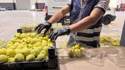 İzmir Büyükşehir çiftçiden aldı ihtiyaç sahiplerine dağıttı