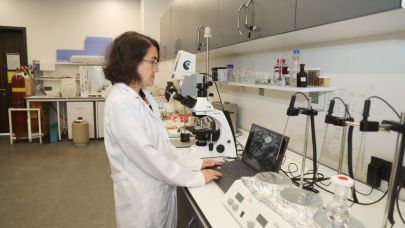 Mısır koçanı ve kamıştan ısıya dayanıklı malzeme yapılacak