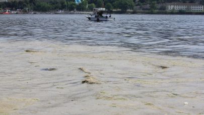 Marmara'nın küçük balıkçılarına "müsilaj" desteği geliyor