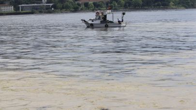 Marmara balıkçısı "müsilaj desteği" açıklamasıyla umutlandı