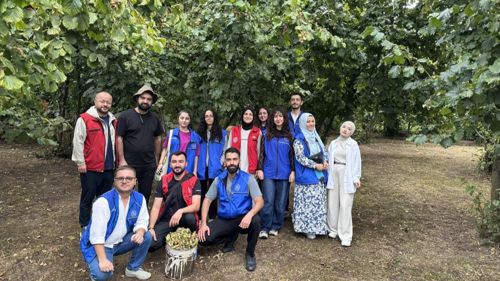 Gönüllü gençler Düzce'de fındık hasadına destek oldu