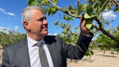 CHP'li Barut, zirai don desteklerini yetersiz buldu