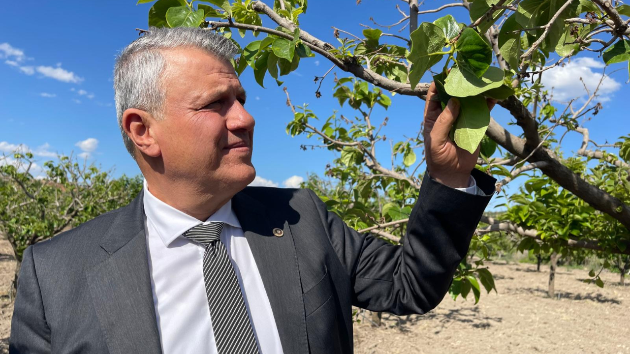 CHP'li Barut, zirai don desteklerini yetersiz buldu