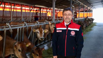 Hayvancılıkta yeni proje: Yıllık kazanç 8 milyar lira olacak