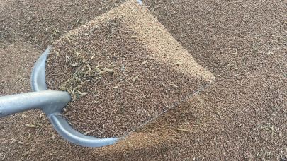 Lisanslı depoları artık "Denetim Kuruluşu" denetleyecek