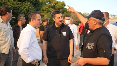 Bursa Yenişehir'deki yangında 100 hektar alan yandı