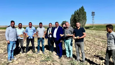 30'a yakın kullanım alanı var ama sorunlar yıllardır aynı