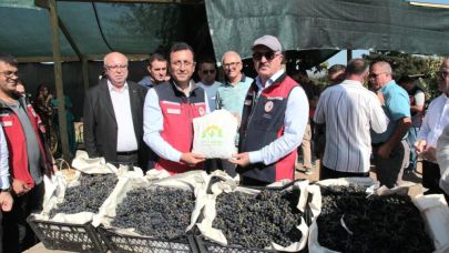 Çanakkale'de ilk aronya hasadı gerçekleştirildi