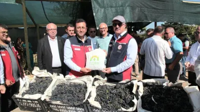 Çanakkale'de ilk aronya hasadı gerçekleştirildi