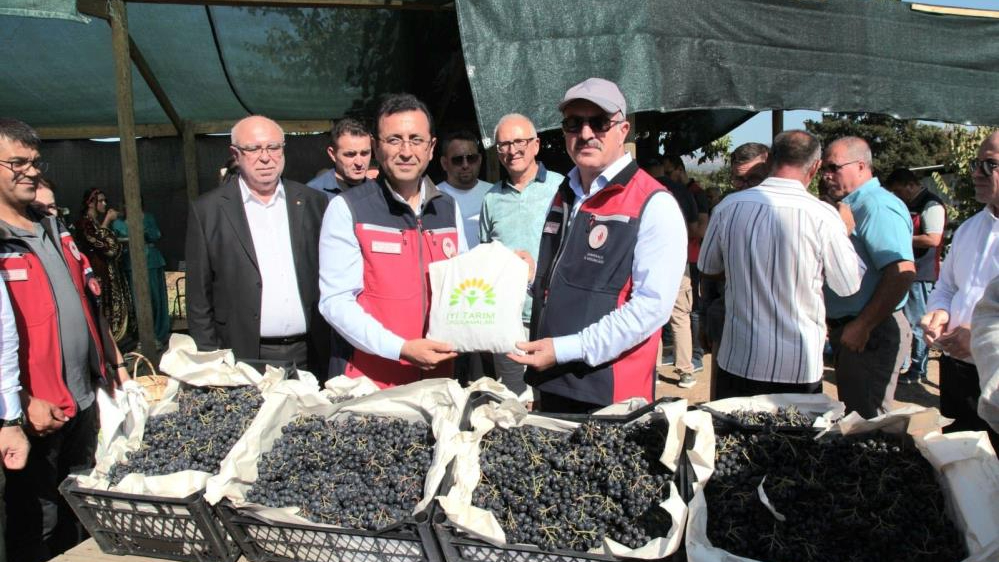 Çanakkale'de ilk aronya hasadı gerçekleştirildi