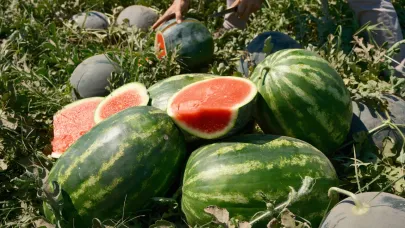 Karpuzun fiyatı 70 kilometrede 30'a katlanıyor