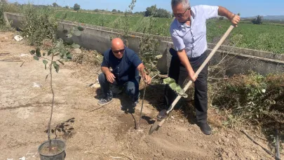 "Ağaççı hoca" kaybedilen her ağacın yerine 10 fidan dikiyor