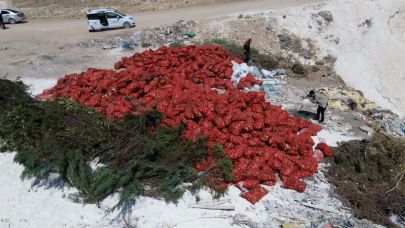 Karaman'da tonlarca kuru soğan boş araziye atıldı