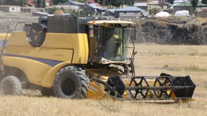 Diyadin'de buğday hasadı başladı: Çiftçinin yüzü güldü