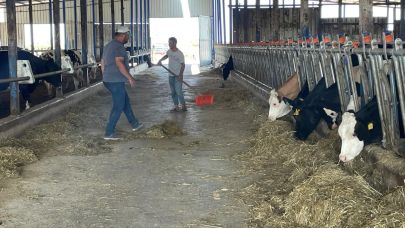 Süt üreticilerinin "yem dayatması" feryadı