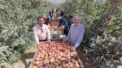 Karaman'da elma hasadı bu yıl buruk başladı