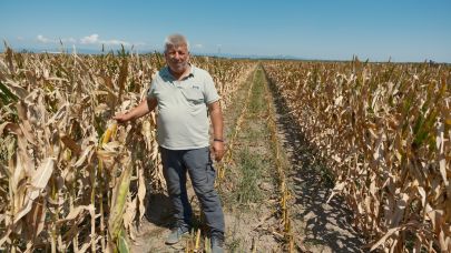 Karacabeyli çiftçi yağmurdan kaçarken doluya tutuldu