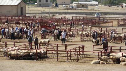 Doğu'da 6 hayvan pazarı daha açıldı
