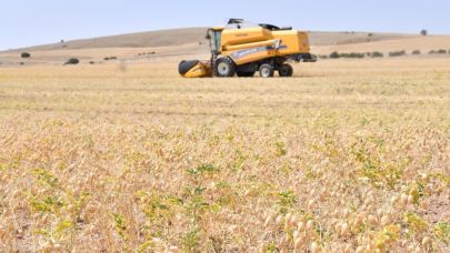 Kırşehir'de 2026 ÇKS başvuruları başladı