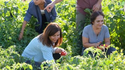 Diyarbakır Büyükşehir Belediyesi'nden ekolojik hasat