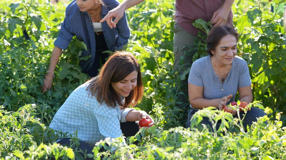 Diyarbakır Büyükşehir Belediyesi'nden ekolojik hasat