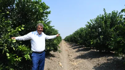 CHP'li Barut: Tarımsal destekleme tutarları revize edilmeli