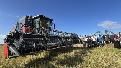 Çeltik üretiminde yüzde 70 su tasarrufu