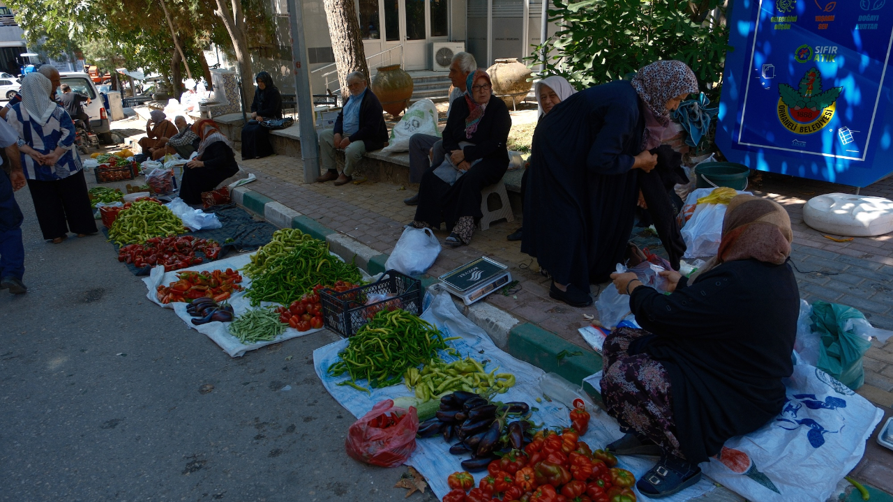Peynir altı suyundan gübre yapıp ilaçsız sebze üretiyorlar