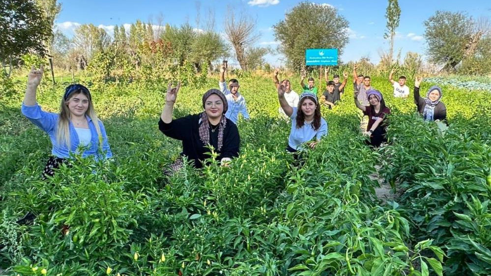 100 yılık ata tohumuyla ilk hasat yapıldı