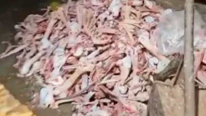 Ahırda kurulan depoda 1,5 ton uygunsuz et ele geçirildi