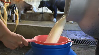 TÜSEDAD: Çiğ süt tavsiye fiyatı 21 lira olmalı