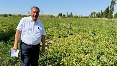 CHP'li Gürer: Çiftçi borçları ertelenmeli faizleri silinmeli