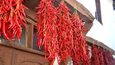Bilecik'in meşhur acı biberinde hasat heyecanı