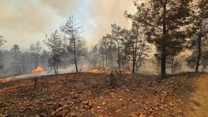 Muğla'daki orman yangınlarında 108 ev boşaltıldı