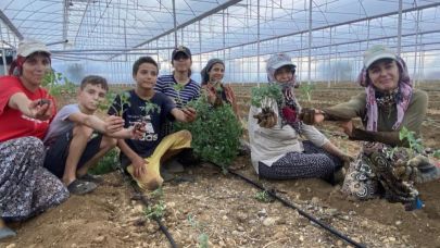 Antalyalı kadın üreticiler üretime devam ediyor