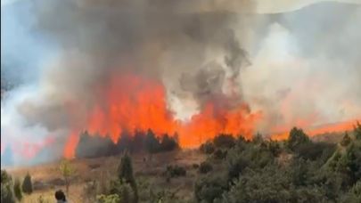 Bilecik'te 30 dönümlük makilik alan yangında kül oldu