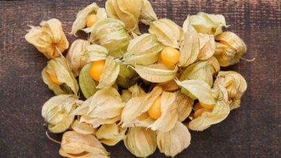 Geleceğin "altın" meyvesi çiftçilere kazanç kapısı olabilir