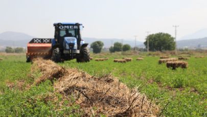 Muğla Büyükşehirden yem bitkisi tohumu desteği
